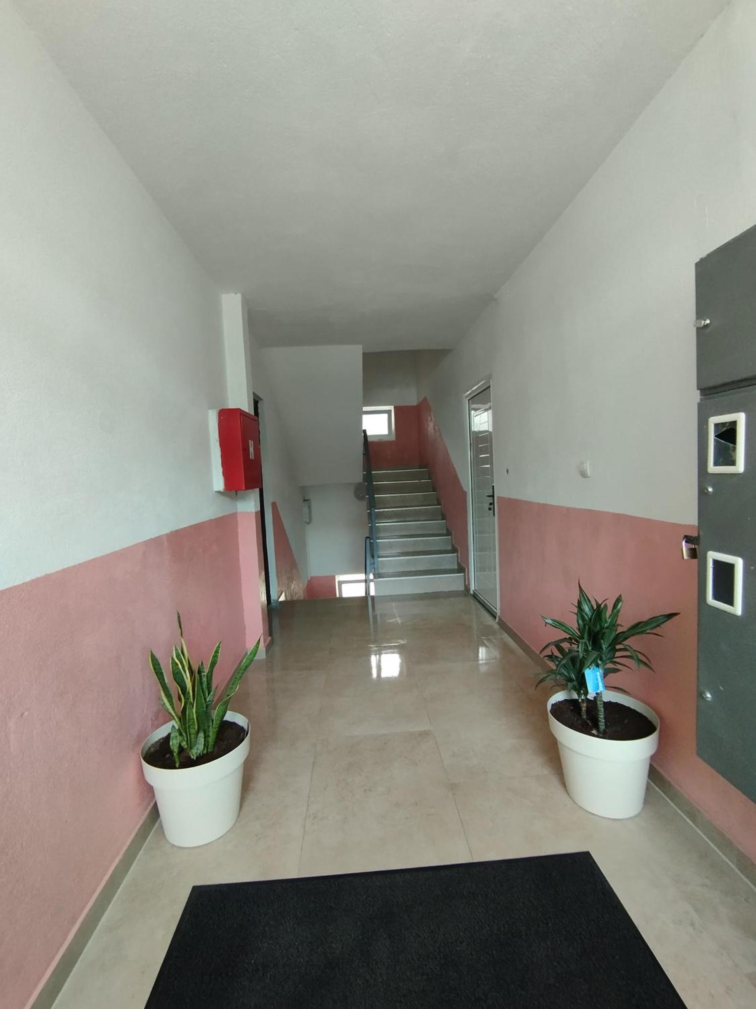 Apartment La Casa Plužine Quarto foto